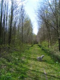 Klik op de foto voor groter formaat